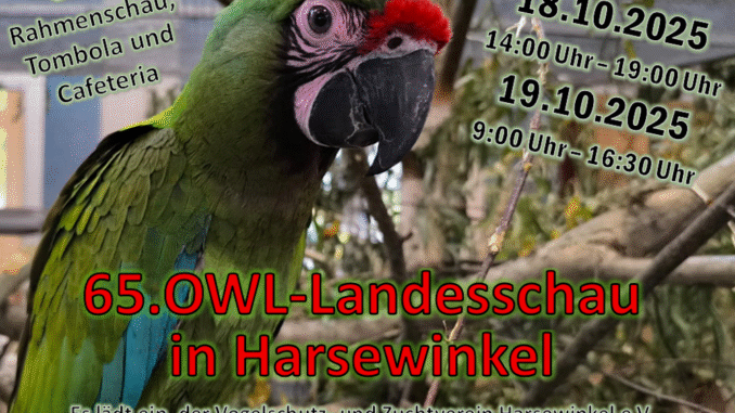 Plakat 2025 Farbe Digital V5.3